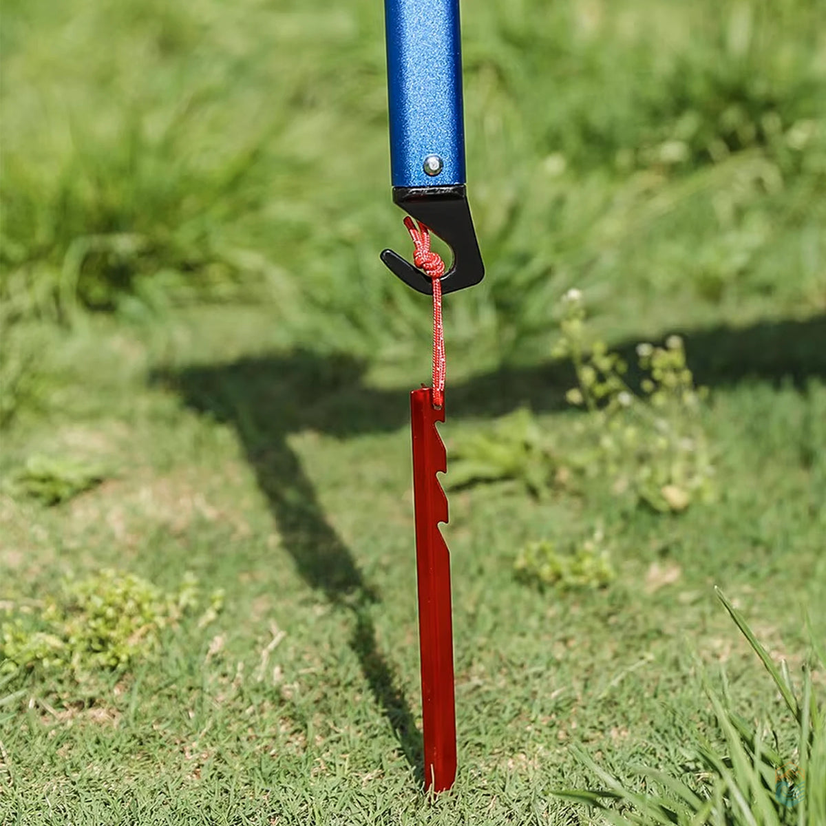 Blue Pacoone camping hammer tool using its black hook to remove a red tent stake from grassy ground, demonstrating effective stake-pulling functionality outdoors