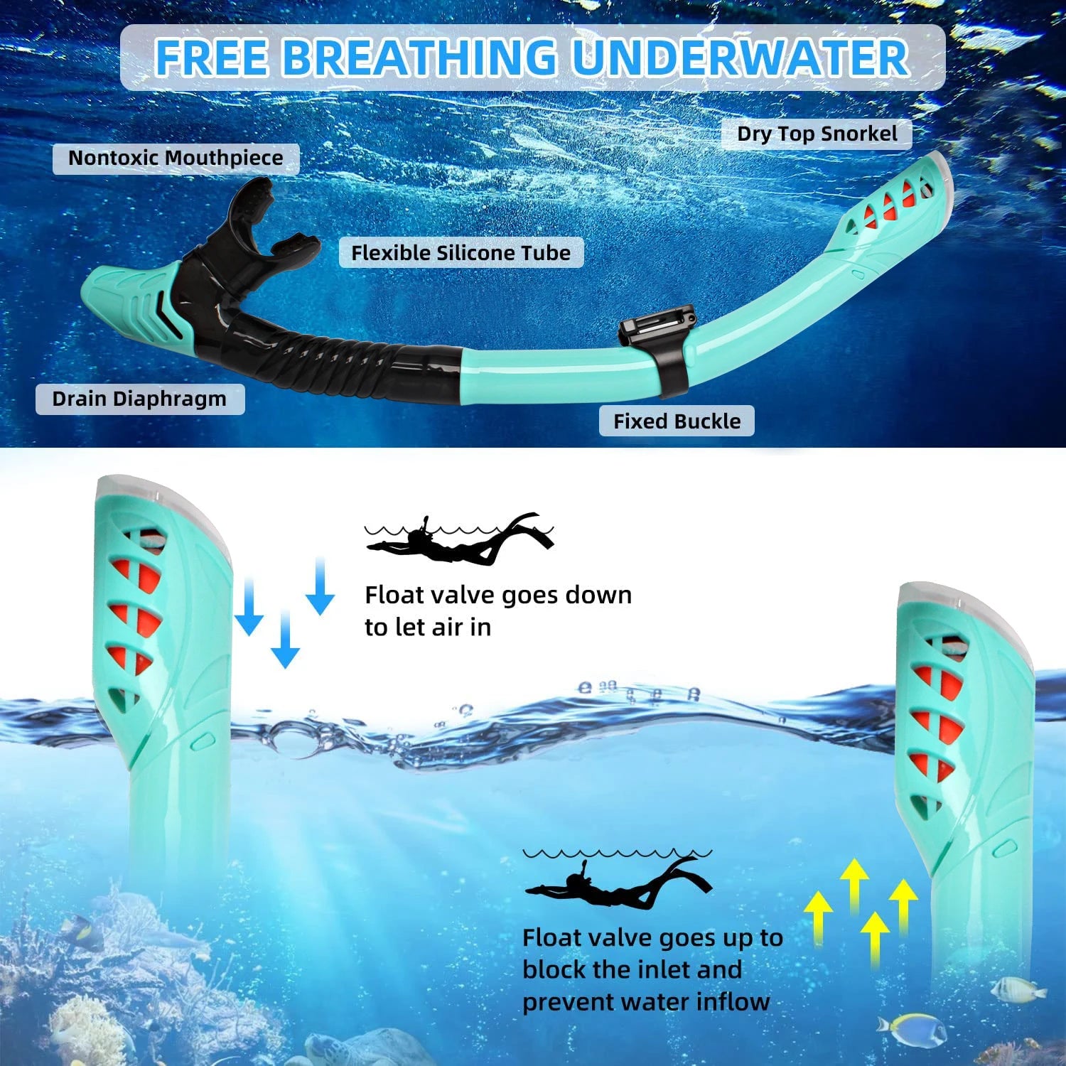 AquaGuard Premium Snorkeling Set for Adults - Full Face Mask & Dry Top Tube - 180° Panoramic View, Anti-Fog Design