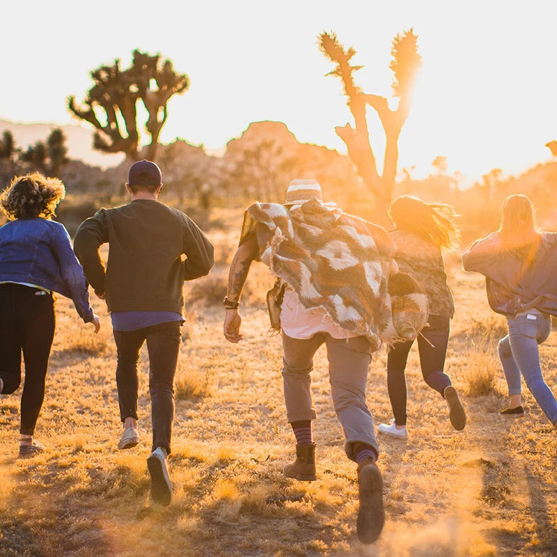 A vibrant group of friends runs joyfully through a desert landscape at sunset, kicking up dust as they go. The golden sunlight casts a warm glow over the scene, highlighting the Joshua trees in the background and creating a dynamic atmosphere of adventure and freedom.