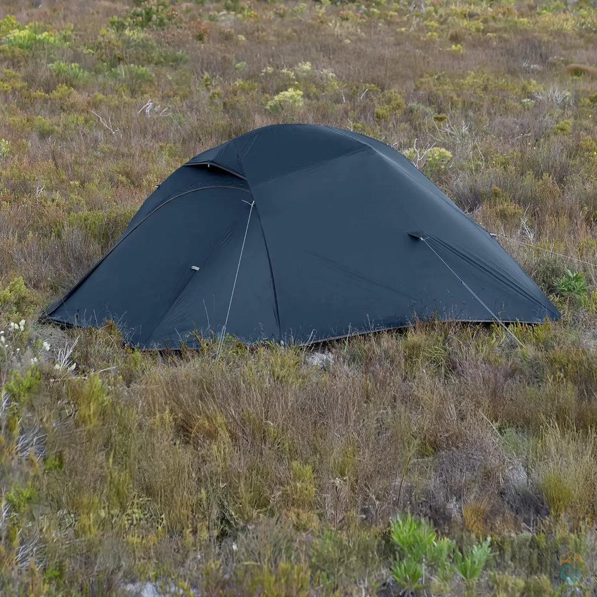 Navy blue Naturehike Cloud-Up 3 Person Tent set up in a grassy, open outdoor field with low vegetation, demonstrating its full rainfly coverage and aerodynamic dome shape